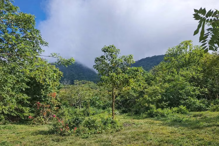 Lote de montaña excepcional en El Valle De Antón - Imagen 11