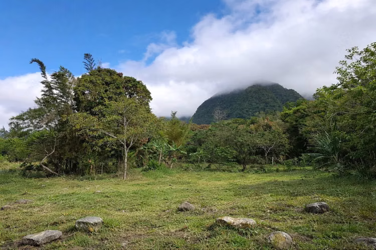 Lote de montaña excepcional en El Valle De Antón - Imagen 16