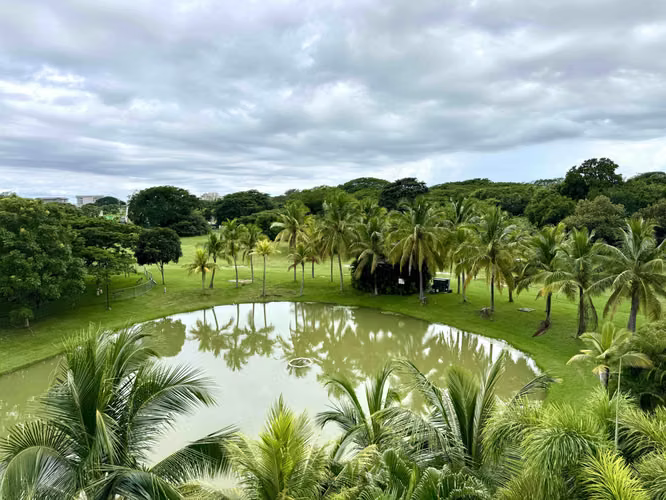 BUENAVENTURA- PH LAGUNA- INCLUYE MULITA KAWASAKI PRO-VENTA