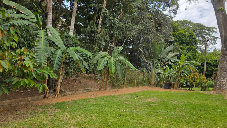 ¡Espectacular Casa Remodelada en Alquiler – Clayton!
