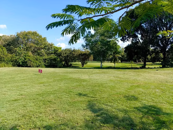 SE VENDE LOTES EN CORONADO - Imagen 2