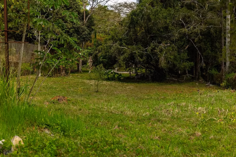 Venta de Terreno en Vía Cáceres, Arraiján - Imagen 4