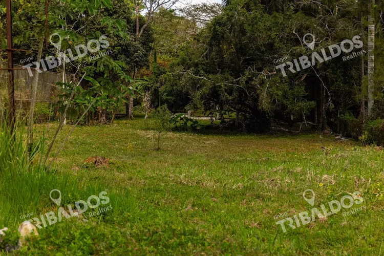 Venta de Terreno en Vía Cáceres, Arraiján