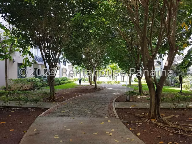 VIVA YA! EN PANAMA PACIFICO VENTA PH RIVER VALLEY ESM - Imagen 7