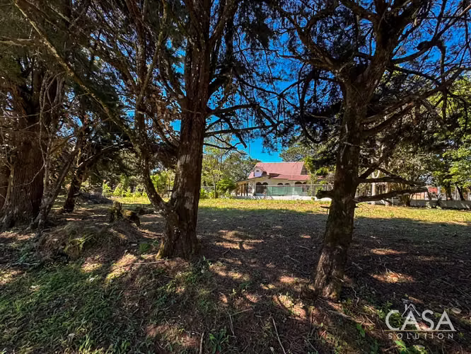 Corner Lot en Venta en Alto Boquete, Chiriquí – Fácil Acceso - Imagen 14