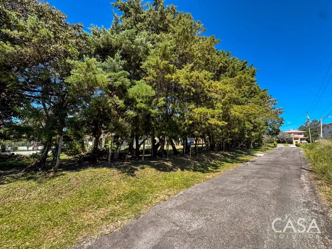 Corner Lot en Venta en Alto Boquete, Chiriquí – Fácil Acceso