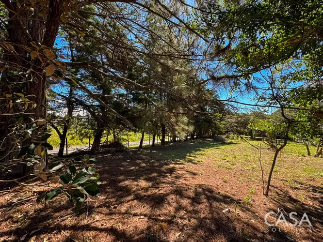Corner Lot en Venta en Alto Boquete, Chiriquí – Fácil Acceso - Imagen 17