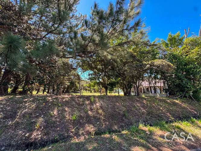 Corner Lot en Venta en Alto Boquete, Chiriquí – Fácil Acceso - Imagen 18
