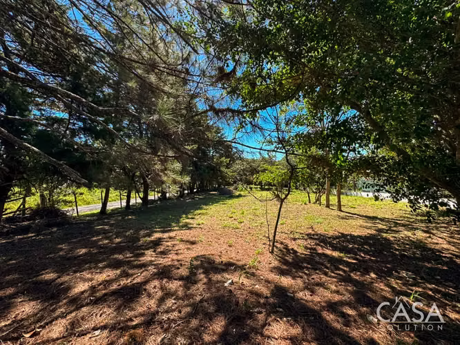 Corner Lot en Venta en Alto Boquete, Chiriquí – Fácil Acceso - Imagen 19