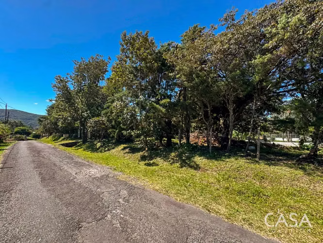 Corner Lot en Venta en Alto Boquete, Chiriquí – Fácil Acceso - Imagen 15