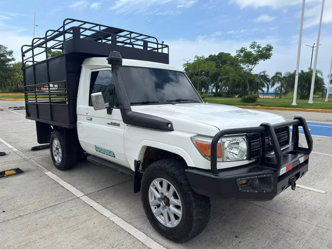 2010 TOYOTA LAND CRUISER