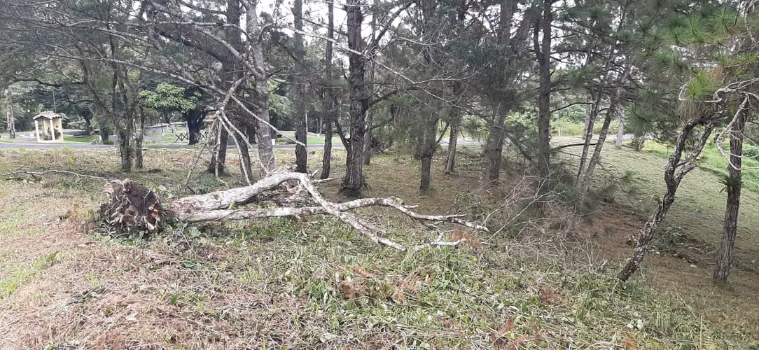 SE VENDE TERRENO EN ESQUINA EN ALTOS DEL MARIA - Imagen 13