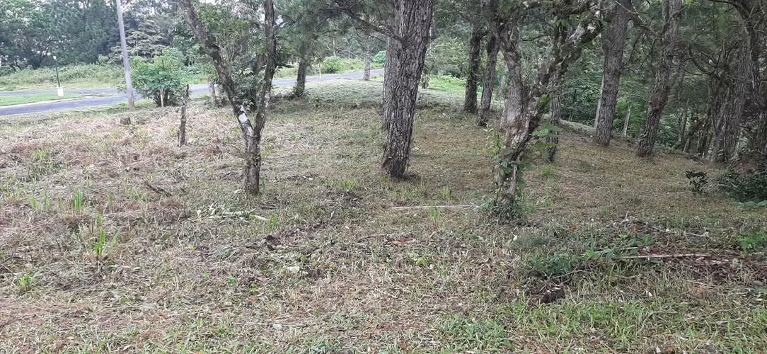 SE VENDE TERRENO EN ESQUINA EN ALTOS DEL MARIA - Imagen 8