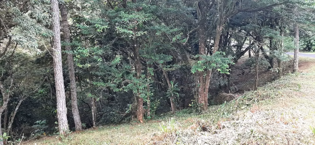 SE VENDE TERRENO EN ESQUINA EN ALTOS DEL MARIA - Imagen 12