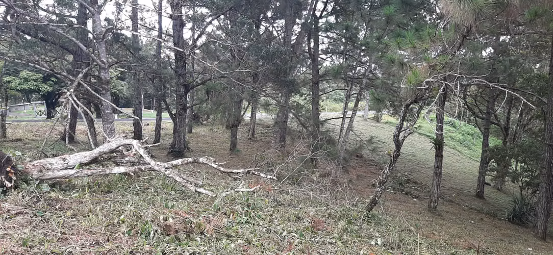 SE VENDE TERRENO EN ESQUINA EN ALTOS DEL MARIA - Imagen 11