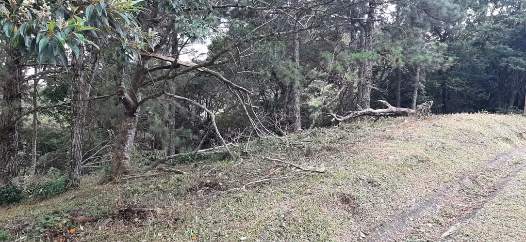 SE VENDE TERRENO EN ESQUINA EN ALTOS DEL MARIA - Imagen 7