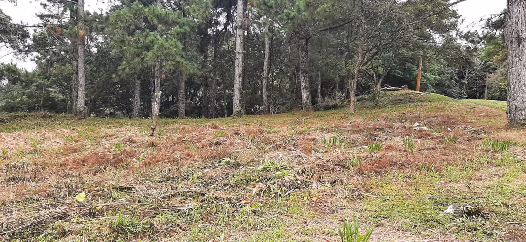 SE VENDE TERRENO EN ESQUINA EN ALTOS DEL MARIA - Imagen 5