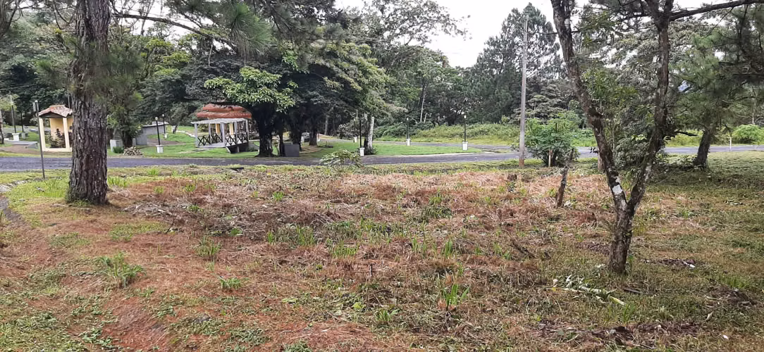 SE VENDE TERRENO EN ESQUINA EN ALTOS DEL MARIA - Imagen 4