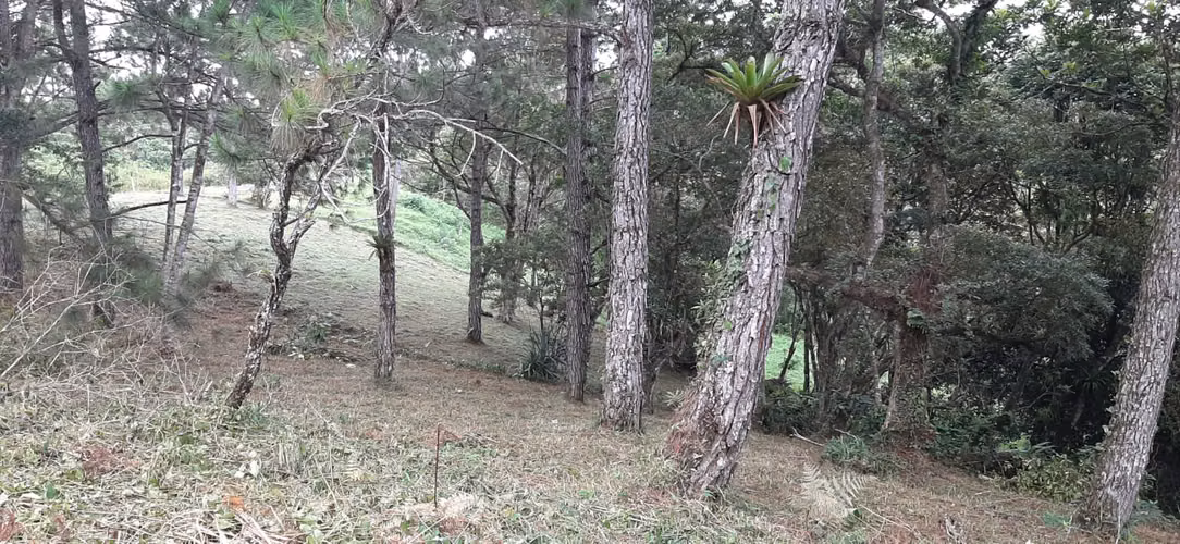 SE VENDE TERRENO EN ESQUINA EN ALTOS DEL MARIA - Imagen 10