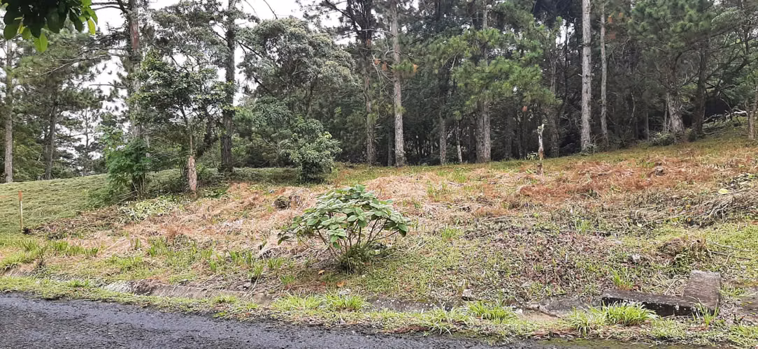 SE VENDE TERRENO EN ESQUINA EN ALTOS DEL MARIA - Imagen 2