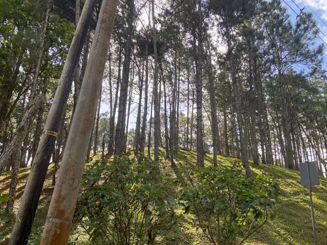 SE VENDE TERRENO CON TOPOGRAFIA PLANA Y VISTA EN ALTOS DEL MARIA - Imagen 2
