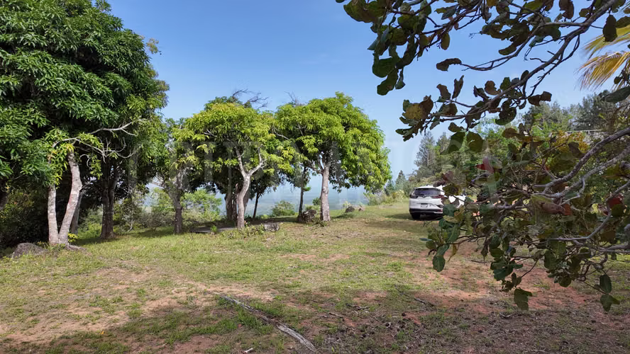 Venta de Terreno Titulado | Vía a la Laguna de San Carlos