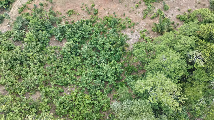 Se vende Terreno en Villa del Carmen/Capira