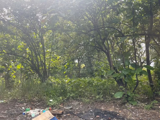 Excelente oportunidad de inversión frente a la Interamericana - Imagen 9
