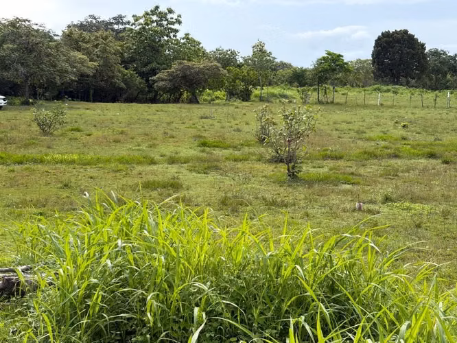 VENTA DE LOTE EN CHAME CABUYA - 2,500 MTS2 - Imagen 5