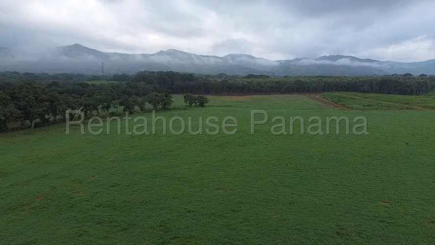 Venta de Terreno en Las Margaritas Ruta Las Margaritas NS
