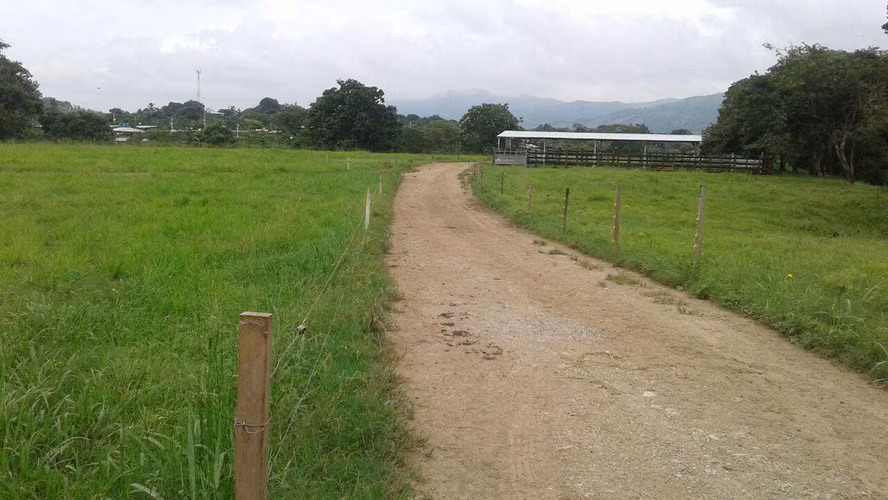 Venta de Terreno en Las Margaritas Ruta Las Margaritas NS