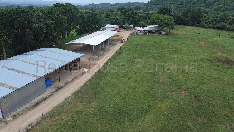 Venta de Terreno en Las Margaritas Ruta Las Margaritas NS