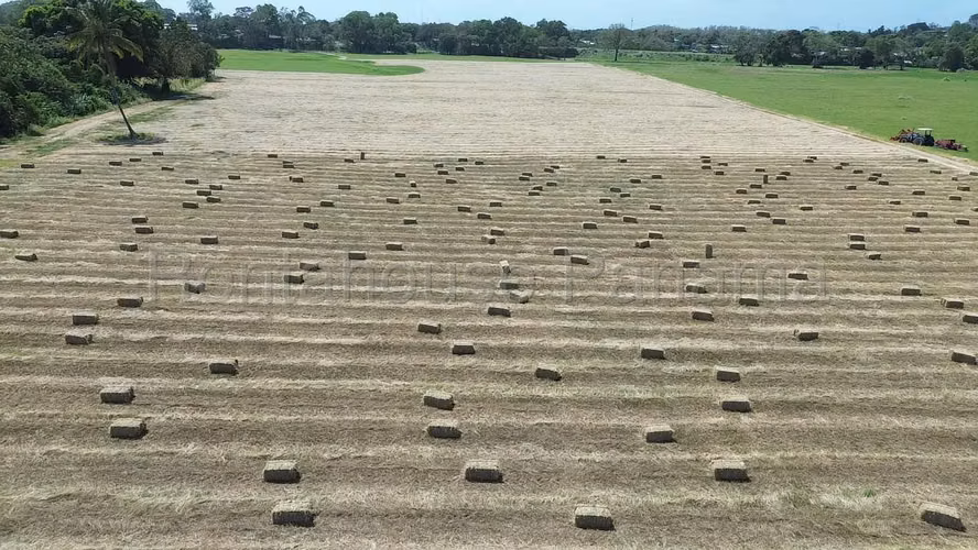 Venta de Terreno en Las Margaritas Ruta Las Margaritas NS