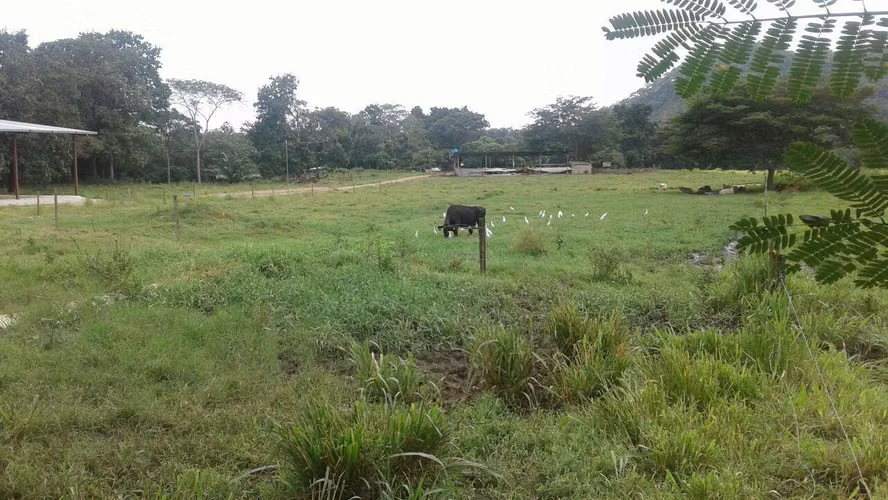 Venta de Terreno en Las Margaritas Ruta Las Margaritas NS