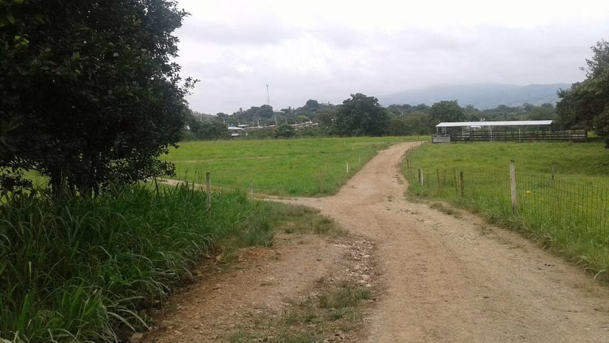 Venta de Terreno en Las Margaritas Ruta Las Margaritas NS