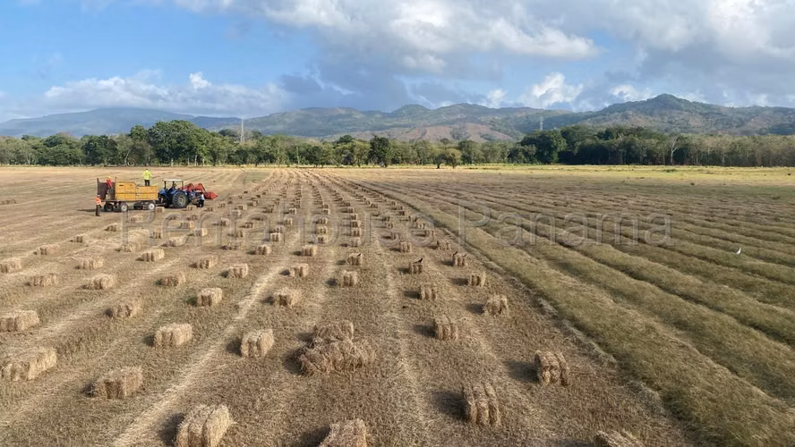 Venta de Terreno en Las Margaritas Ruta Las Margaritas NS