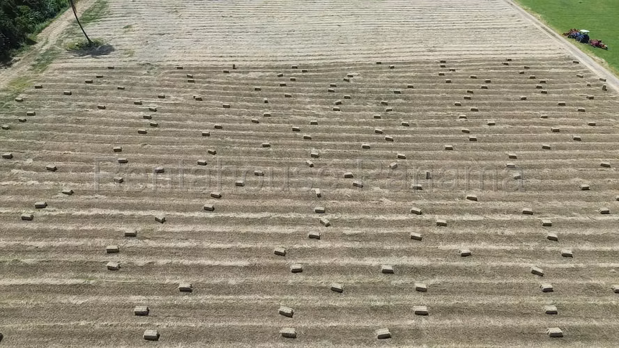 Venta de Terreno en Las Margaritas Ruta Las Margaritas NS