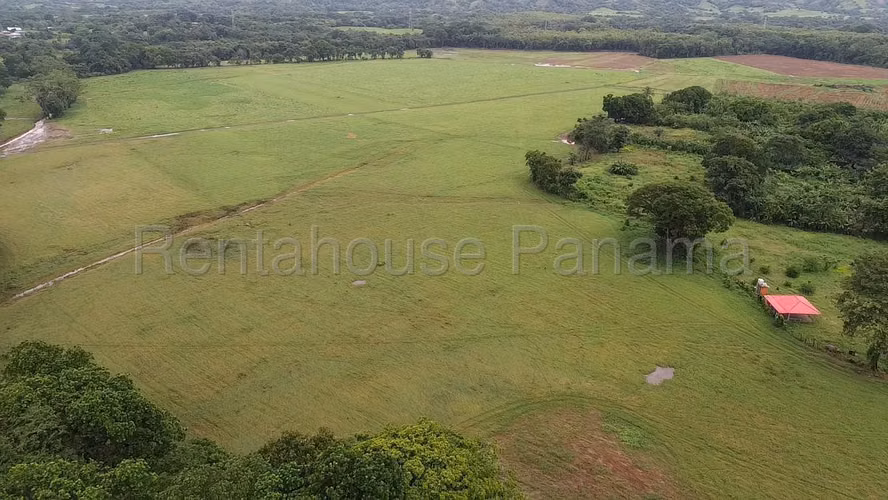 Venta de Terreno en Las Margaritas Ruta Las Margaritas NS