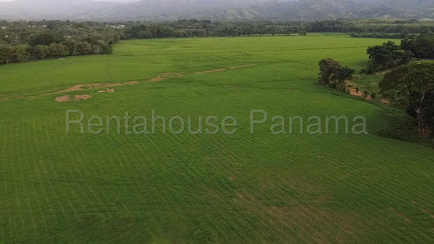 Venta de Terreno en Las Margaritas Ruta Las Margaritas NS
