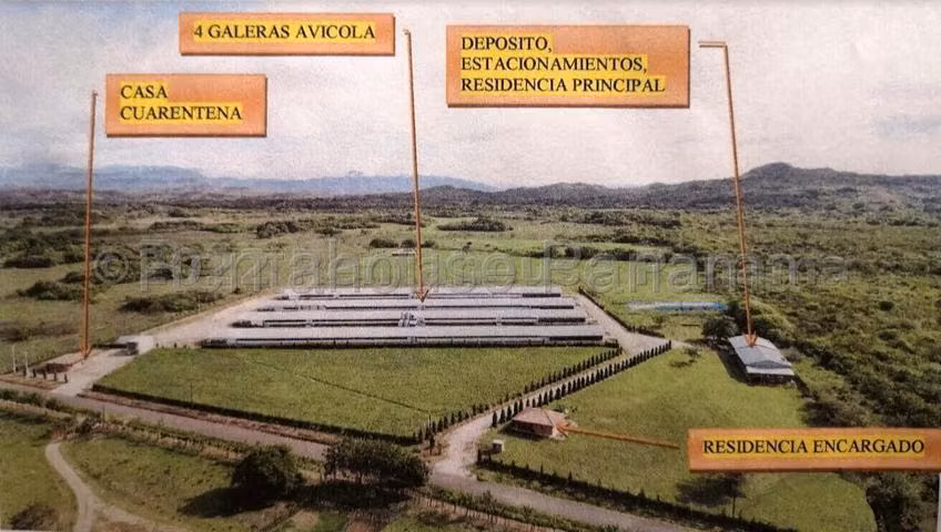 Venta de Granja Avícola en Coclé, Natá.