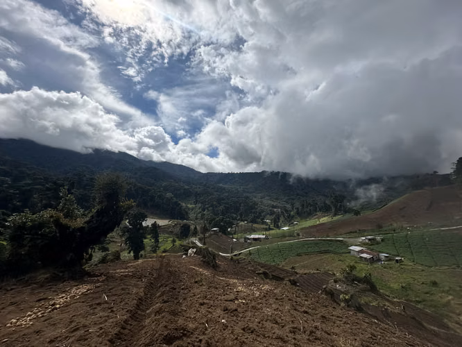 REMATE!! SE VENDE FINCA DE 6.5 HAS EN CERRO PUNTA - Imagen 4