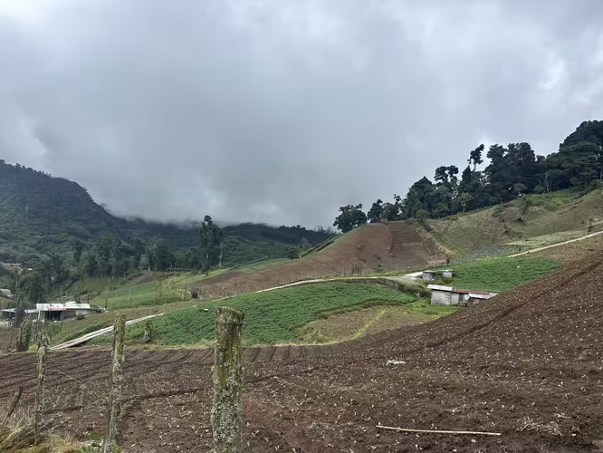 REMATE!! SE VENDE FINCA DE 6.5 HAS EN CERRO PUNTA - Imagen 2
