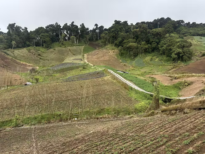 REMATE!! SE VENDE FINCA DE 6.5 HAS EN CERRO PUNTA - Imagen 9