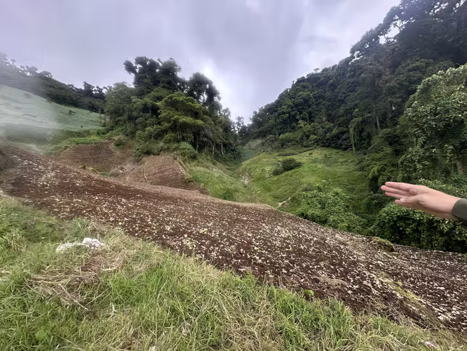REMATE!! SE VENDE FINCA DE 6.5 HAS EN CERRO PUNTA - Imagen 7