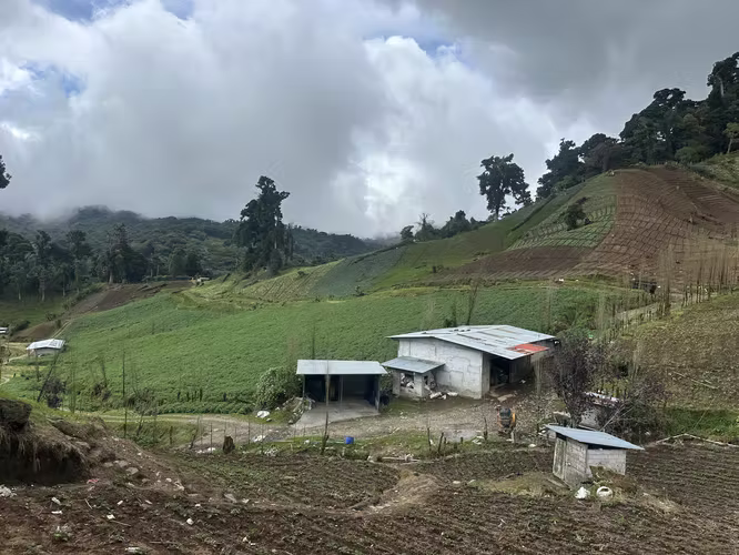 REMATE!! SE VENDE FINCA DE 6.5 HAS EN CERRO PUNTA - Imagen 10