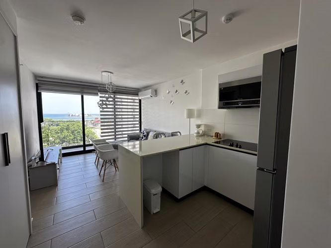 ALQUILER APARTAMENTO AMUEBLADO EN PH LIVING73, SAN FRANCISCO.