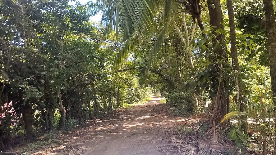 Terreno frente al mar en Puerto Armuelles, Panamá - Imagen 4