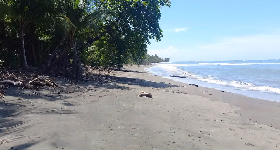 Terreno frente al mar en Puerto Armuelles, Panamá