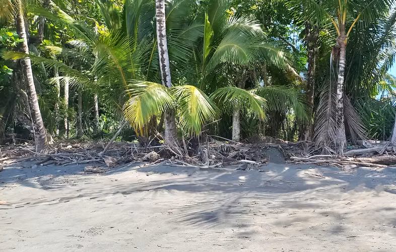 Terreno frente al mar en Puerto Armuelles, Panamá - Imagen 13