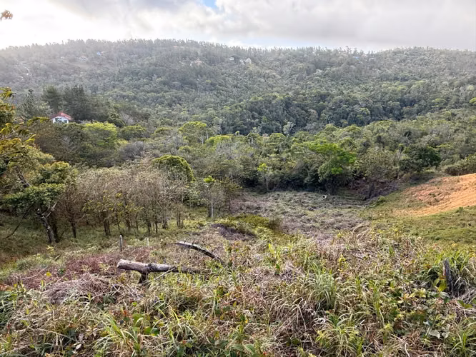 SE VENDE HERMOSO LOTE CON VISTA EN LOS ALTOS DE CERRO AZUL - Imagen 9